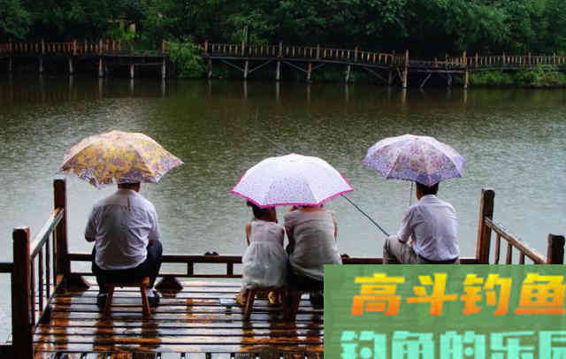 为什么你夏天钓不到鱼？就是因为没有掌握这四点