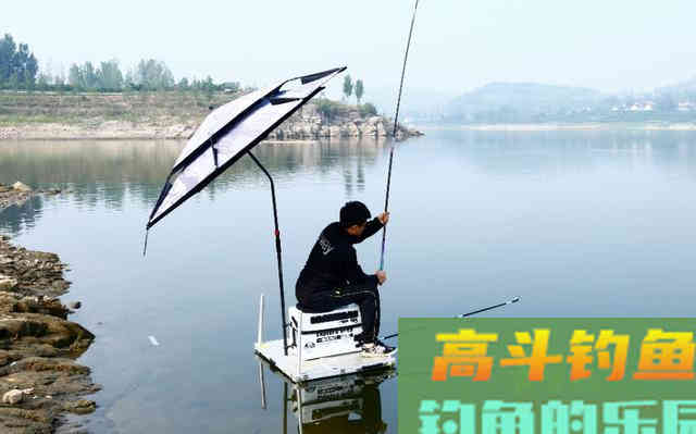 秋天正是钓鱼黄金季，此时你怎么爆护呢