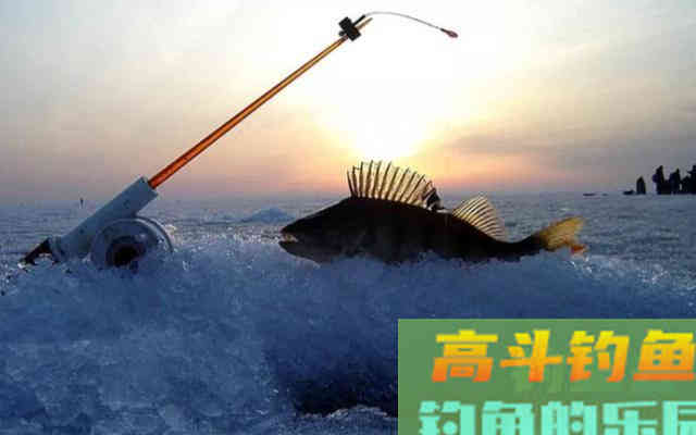 冬季垂钓要避开寒冷，寻找温暖处