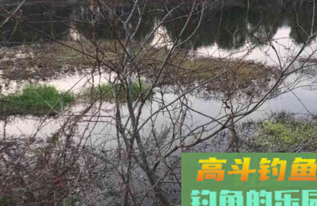 冬天鱼难钓？有人却能爆护，冬季钓鱼最优总结