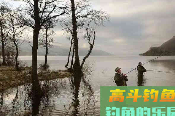 立冬后钓鱼如何不空军？老钓友总结的经验来了