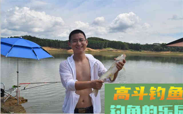 秋季大水面钓鱼攻略，钓位最重要，饵料用好爆护不难