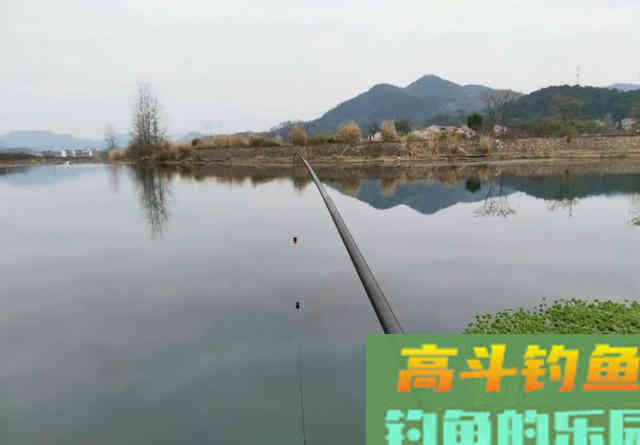 说话是否会惊鱼？春季多钓滩，想收获大鱼还需安静