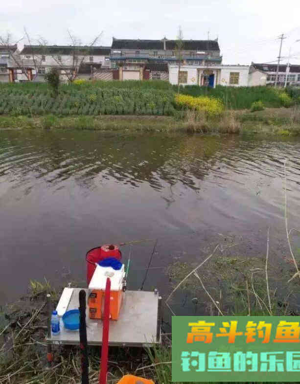 春天鱼不好钓？野钓客教你