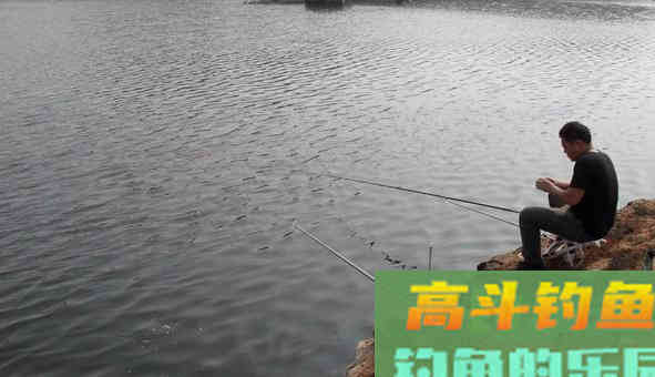 秋天钓鱼，什么时候钓浅，什么时候钓深