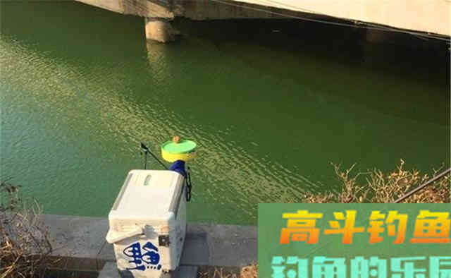 晚秋钓鱼，抓住降温天气，钓鱼如同捡鱼