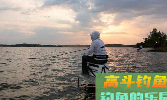 夏季钓鱼，要掌握这四个技巧
