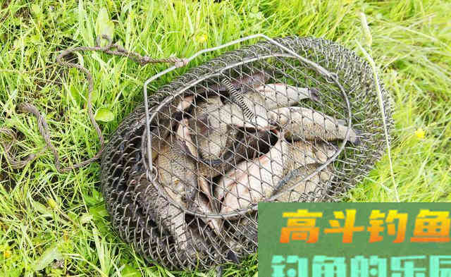 初夏钓鱼，别人鱼口不断你没口，用好这些技巧