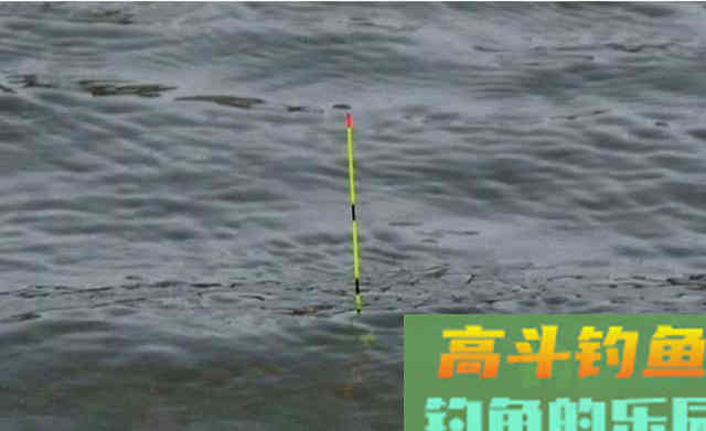 两类截口四种漂相，漂动就提，冬季钓大棚，想不上岸都难