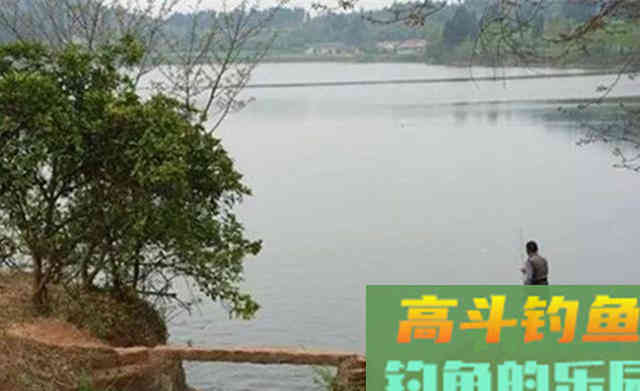 入秋之后野钓大鱼，钓位应该如何选择