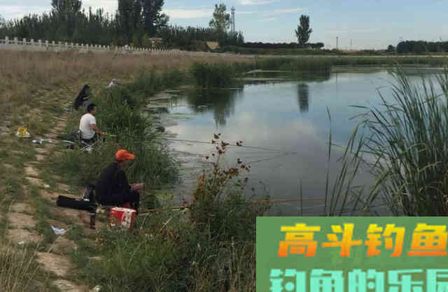 秋季钓鱼，钓浅还是钓深？选对了才能爆护