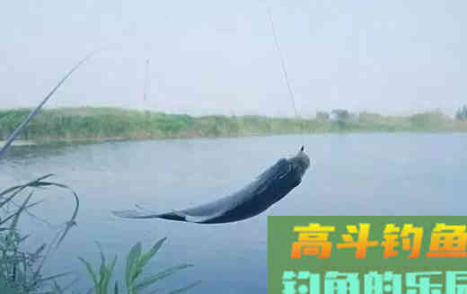 春末野钓，不仅要挑好钓点，更要知道三钓两不钓