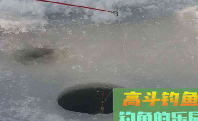 冬季垂钓要避开寒冷，寻找温暖处