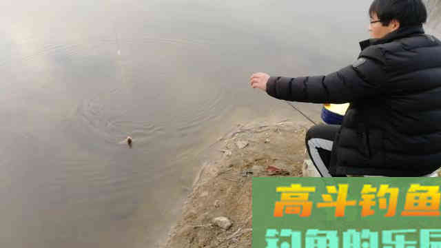 冬季小钩细线配大漂，这样去调钓，鱼口再轻也能抓得准