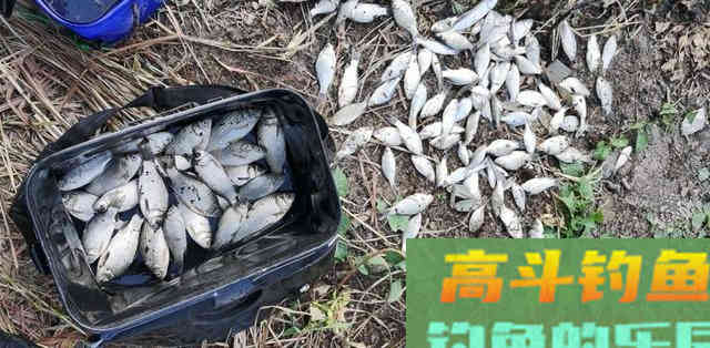 秋冬季节来临鱼不开口，掌握这几点你再试试看