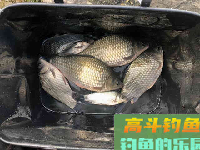 春天钓鱼几个错误思路盘点，听起来很有道理但是容易走空