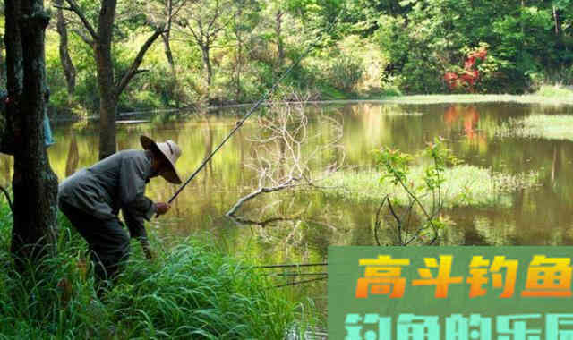 为什么你夏天钓不到鱼？就是因为没有掌握这四点