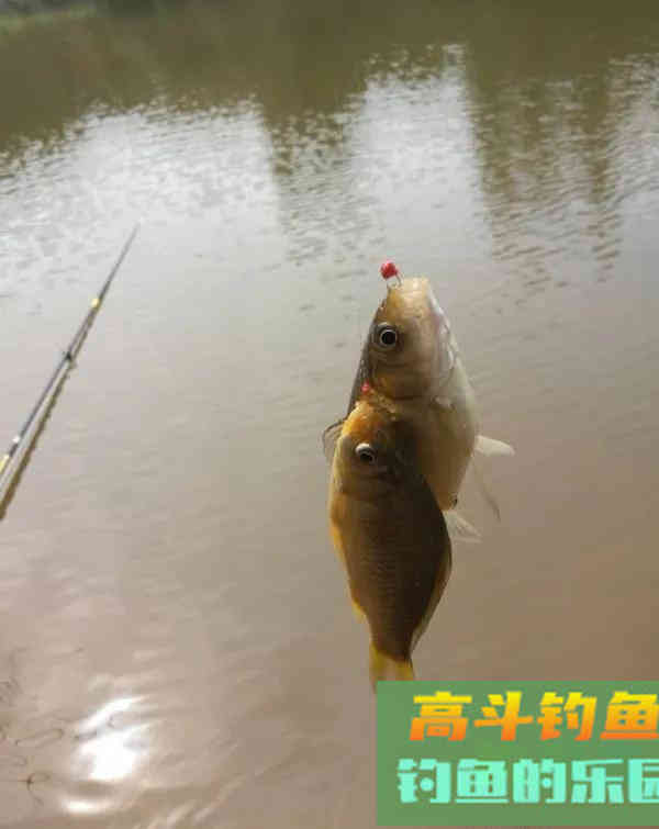 钓鱼人的春天，小钩细线享清欢。