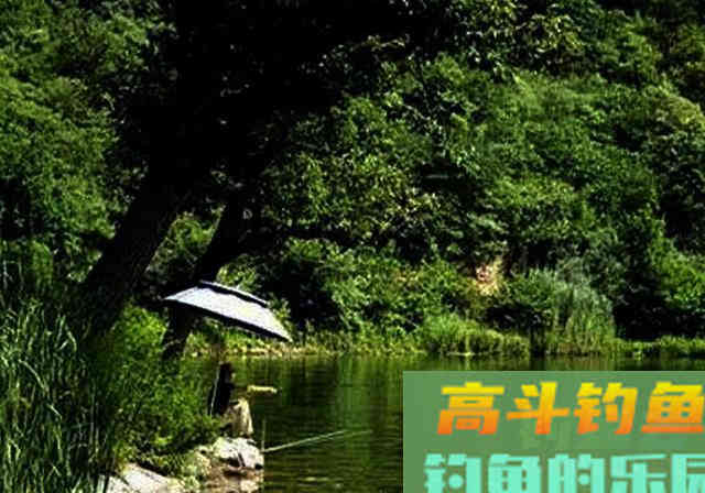 夏季外出钓鱼，早点知道这些事，少走弯路渔获多