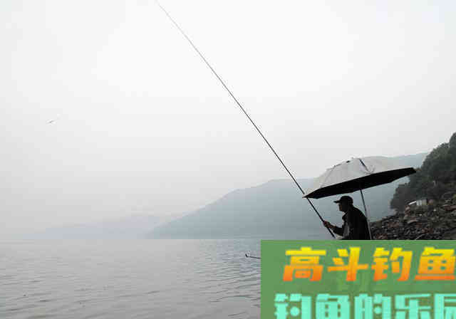 秋季自然水域鱼情好，野钓为什么频频跑鱼呢