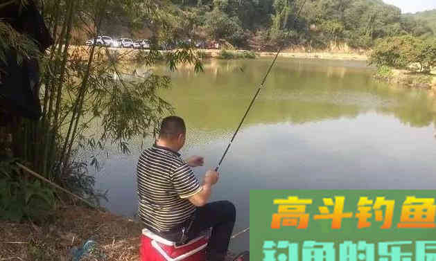 秋季退水后，不解决这个问题，一天都很难钓到鱼
