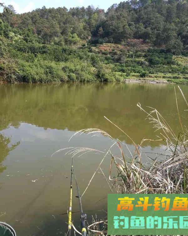 钓鱼人的春天，小钩细线享清欢。