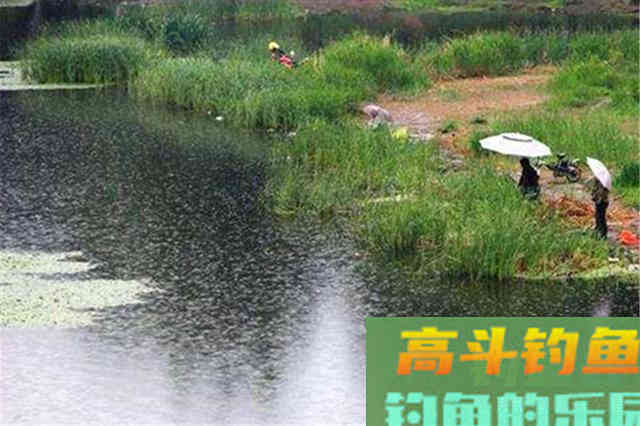 初秋想要钓大鱼，要钓两风和两雨
