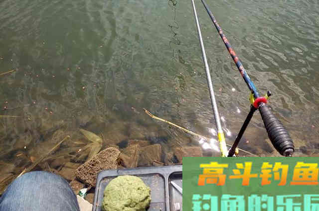 春季钓鱼别着忙，掌握这些硬核心得，钓好鱼不难
