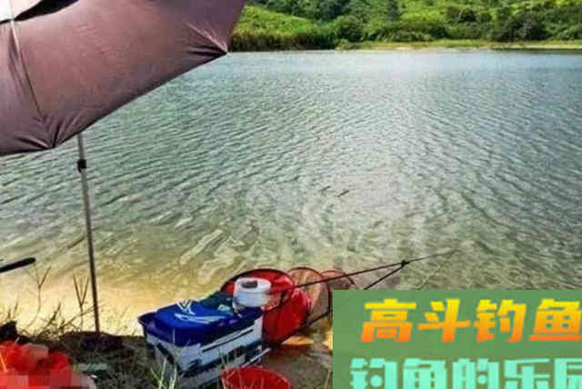 春季只要牢记4句口诀，鲫鲤鱼轮番上钩