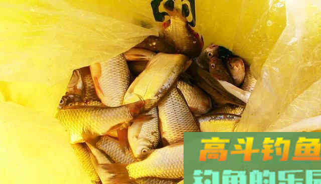 春季钓鱼秘诀分享，感兴趣的看过来