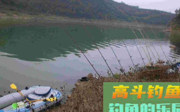 入秋后水温转低，钓草鱼需要钓多深，才能有鱼口