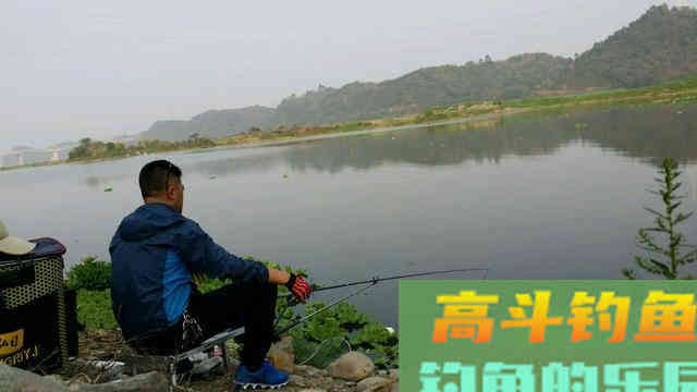 春季下雨钓鱼攻略，小鱼少大鱼多，靠岸觅食吃口狂