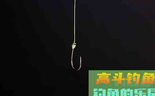 冬季野钓浮漂有信号，为什么却一直不中鱼