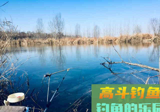 冬季居然是钓鲫鱼的黄金季节，应该钓深还是应该钓浅