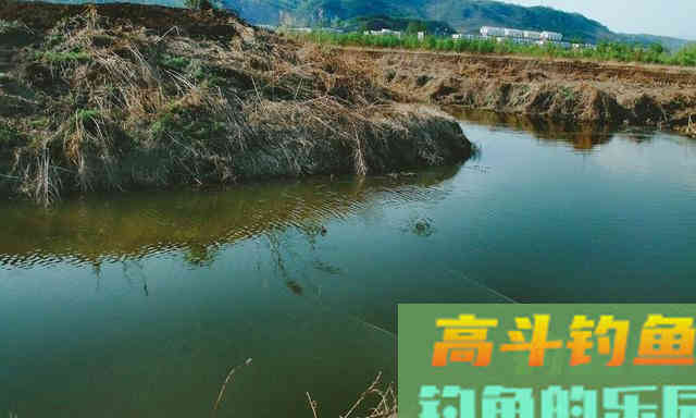 仲春钓鱼有3难，不仅是温度高钓浅水，难在鱼情和饵料