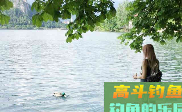谁说夏季钓鱼不能用腥饵，虾仁蘸虫粉，半天钓了38斤鱼