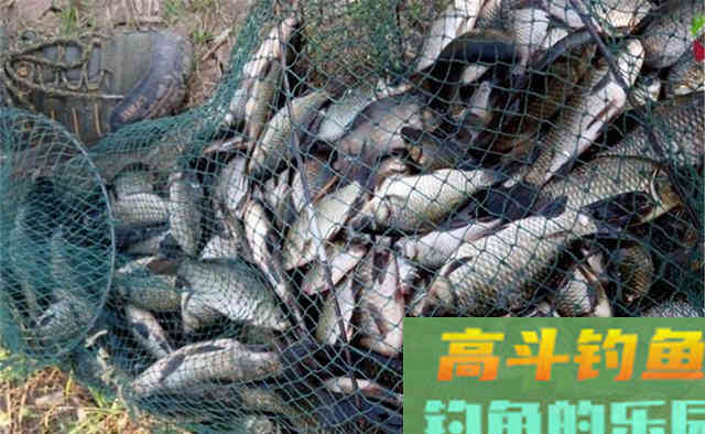 冬季钓鱼空军原因很多，这5点至少占了9成