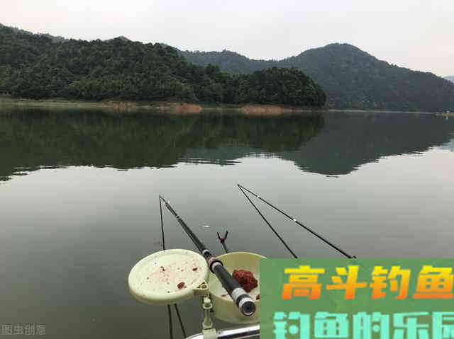 深秋一定要钓深？谣言！这3种情况钓深，鱼都会笑话你