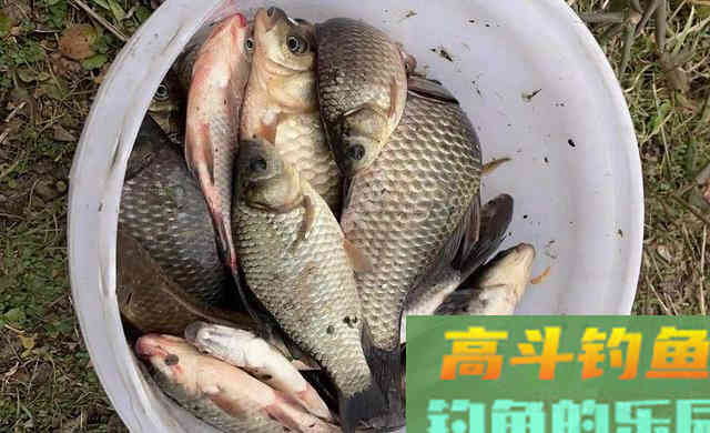 冬季钓鱼，这种钓法有5大优势