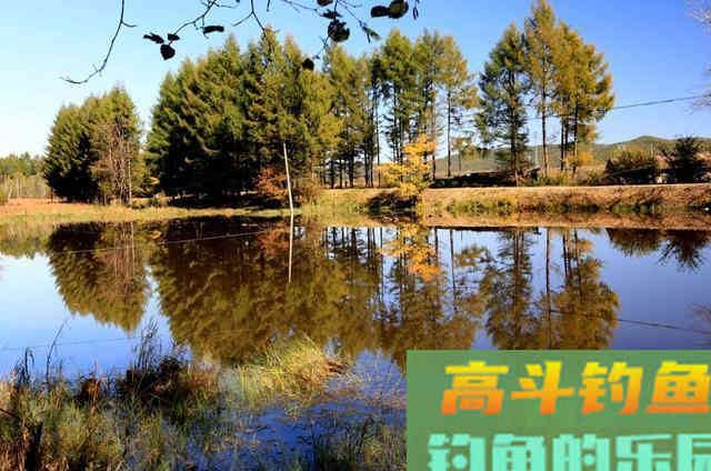 秋季如何垂钓近水