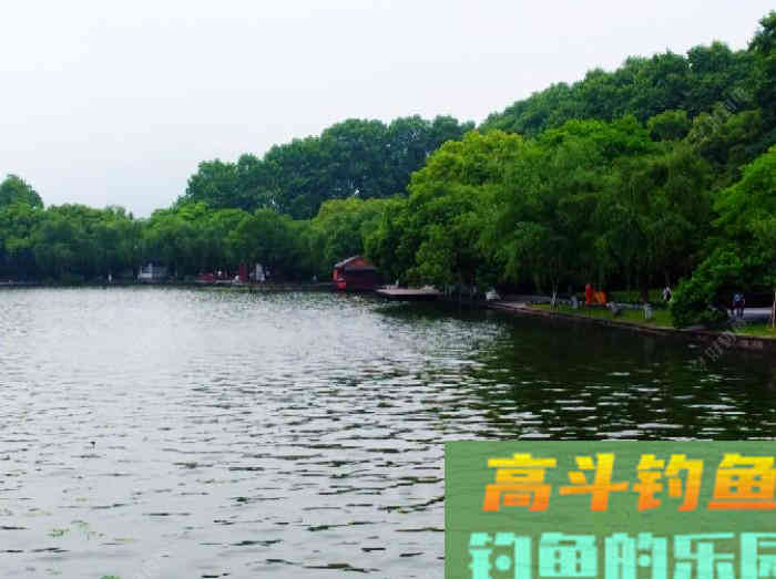 夏季最佳出钓时间、选择钓位，与钓技和饵料方面的解答