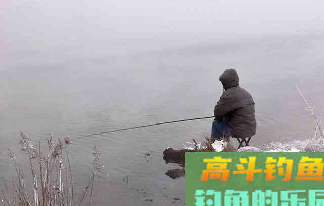 初冬野钓，这几种情况，钓浅比钓深的鱼口更多