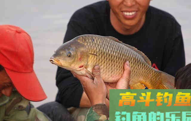 这有一整套冬季钓鱼的黄金秘诀，也是冬季爆护的自然法则