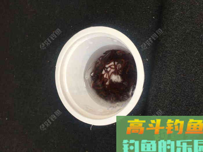 年假隔天钓，鱼获节节高--疫期冬钓总结超长篇