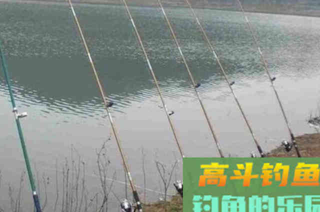 夏天，我就只用这特色钓法，钓上的鲫鲤鱼都很大