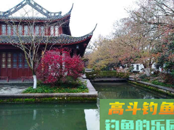 春季不同节气与鲫鱼活性，从初春、仲春、晚春来分析