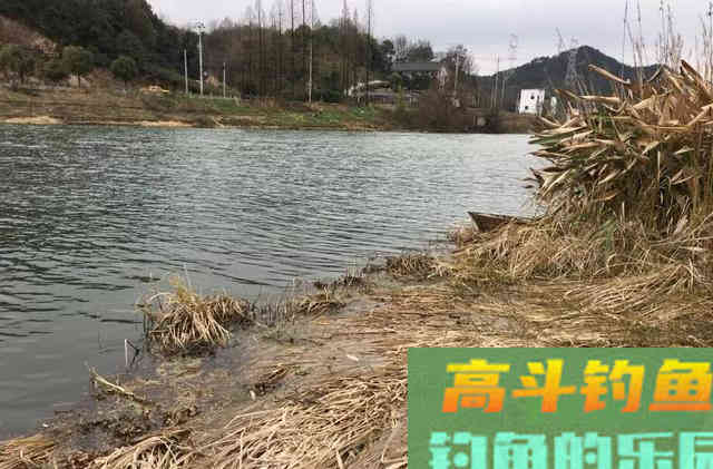 天气越冷鲫鱼咬钩越积极，只要做好这3件事