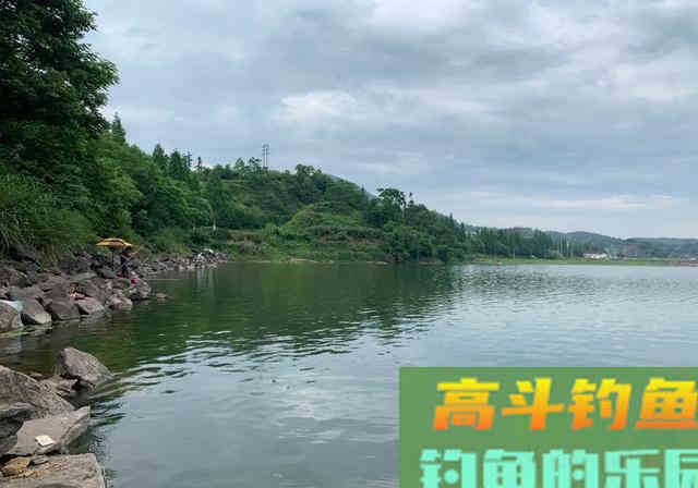 夏季涨水，暴雨后真的好钓鱼吗