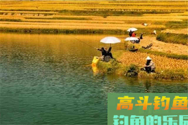 秋分过后钓大鱼，有这4宜4不宜