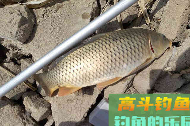 春季钓鱼别着忙，掌握这些硬核心得，钓好鱼不难